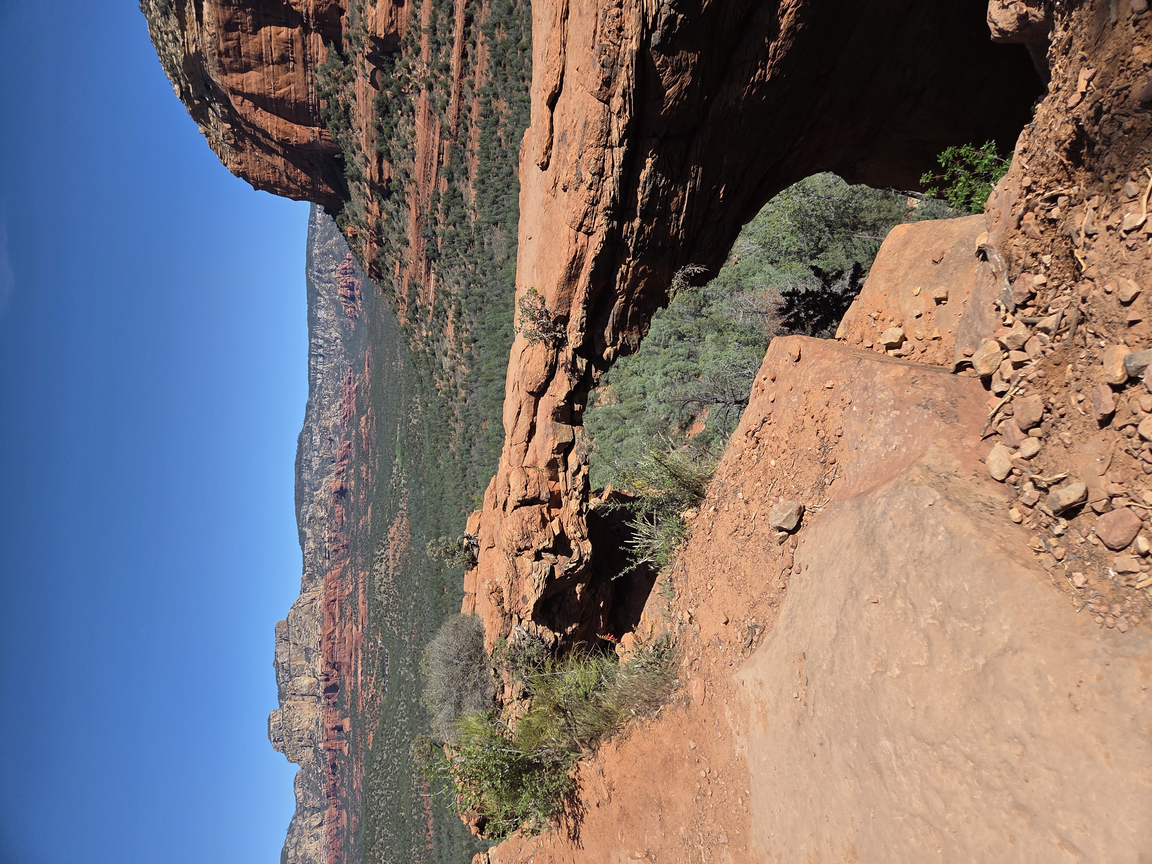 Red Rock Landscape