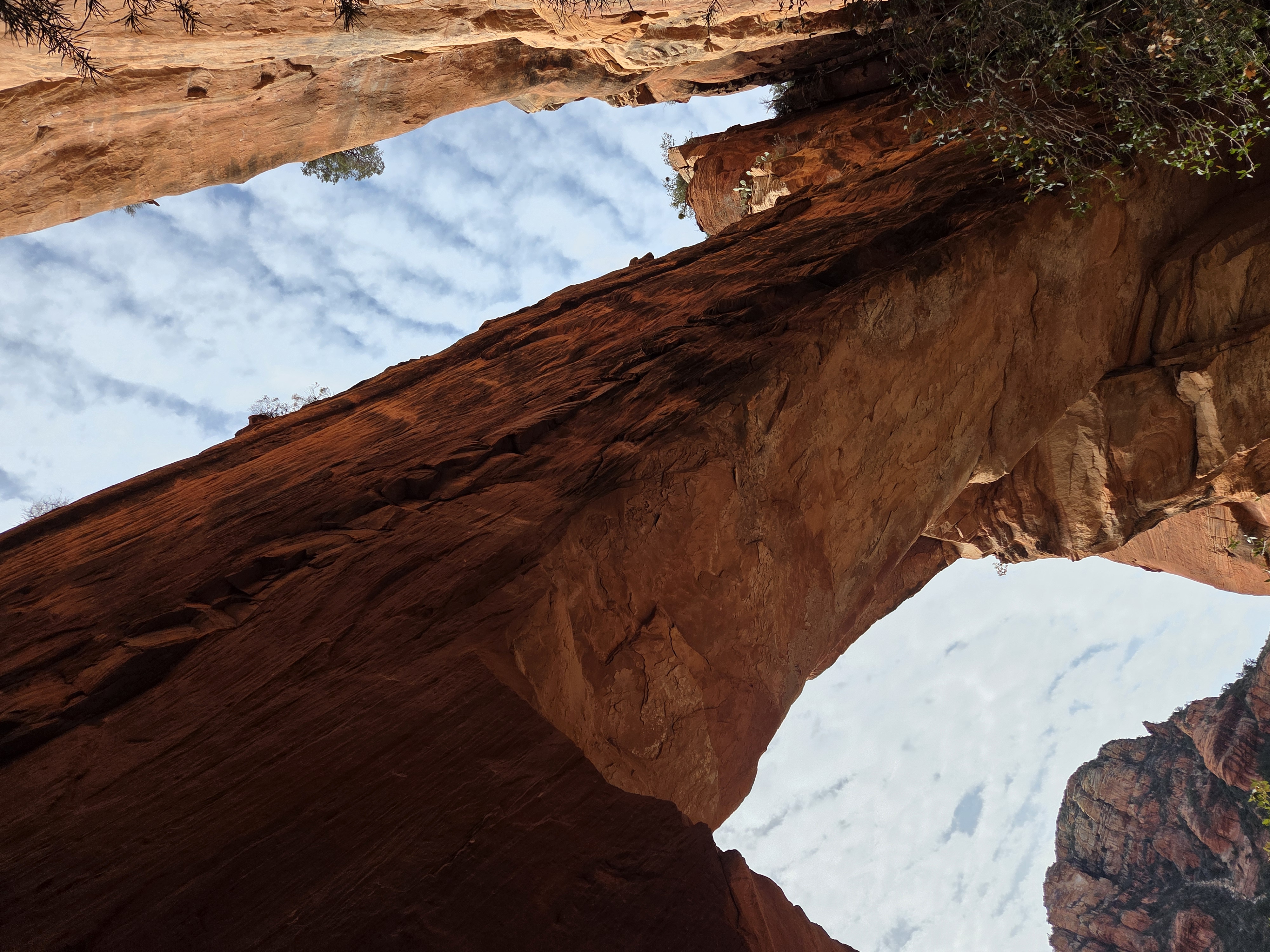 Desert Canyon